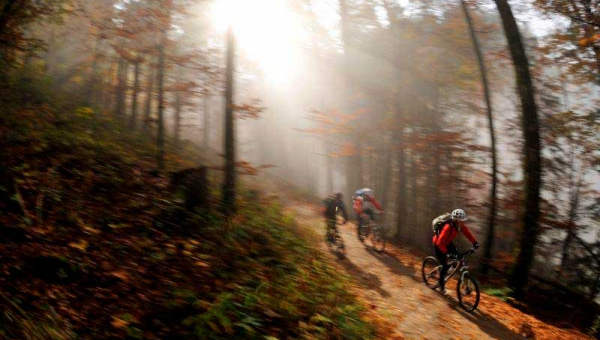 Guided tour with the e-mountain bike